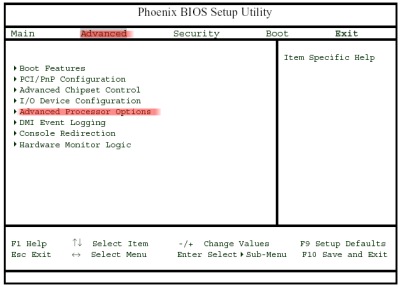 Sezione del Bios Advanced/Advanced Processor Options.