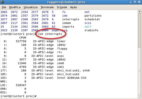 Visualizzazione comando cat interrupts